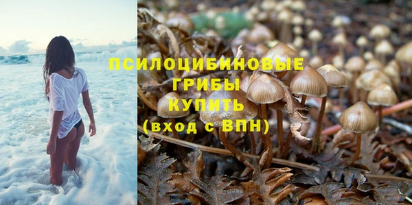каннабис Алексин