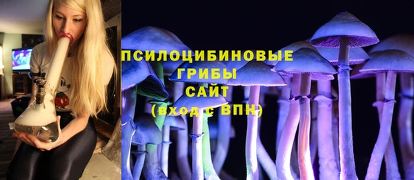 амф Алзамай