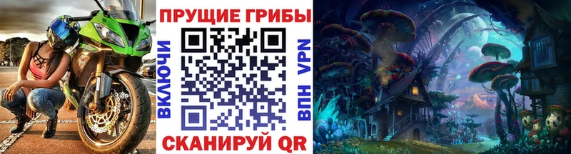 Псилоцибиновые грибы MAGIC MUSHROOMS  Заозёрный 